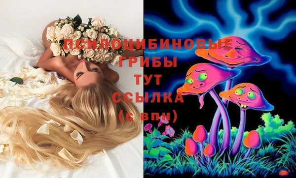 мяу мяу мука Аркадак