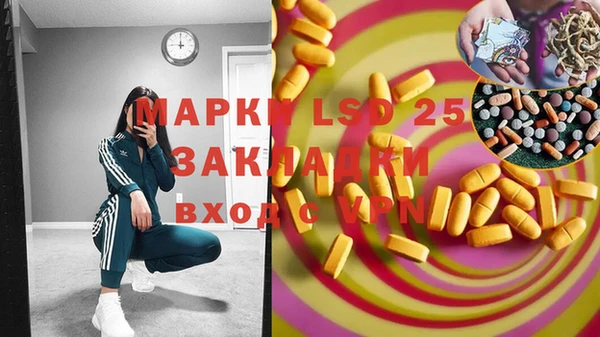 мяу мяу мука Аркадак