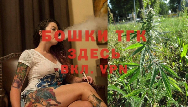 мяу мяу мука Аркадак
