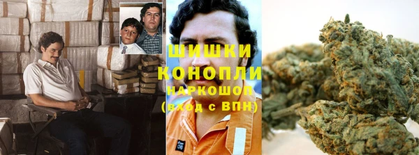 мяу мяу мука Аркадак